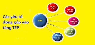 Năng suất nền Sòng Bài Trực Tuyến 13Win.com Việt Nam chưa xứng với tiềm năng